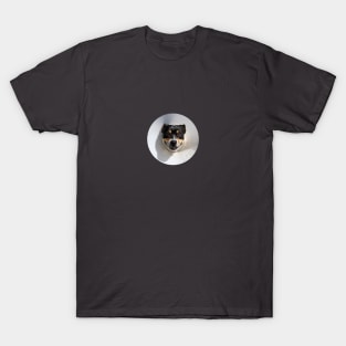 Smiling dog T-Shirt